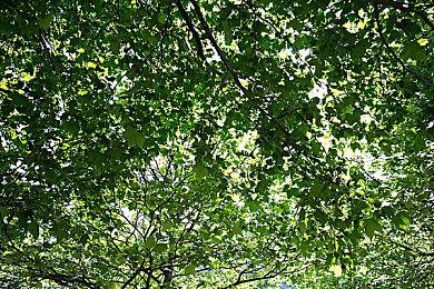 《暗黑地牢2》正式版将于5月9日发售 登陆Steam和Epic