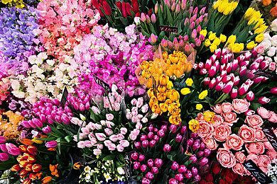 消息称2024年《使命召唤》战场设置在海湾战争